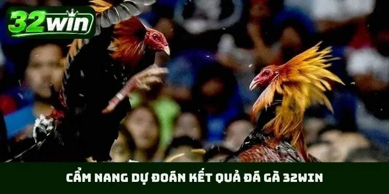 Cẩm nang dự đoán kết quả đá gà 32WIN