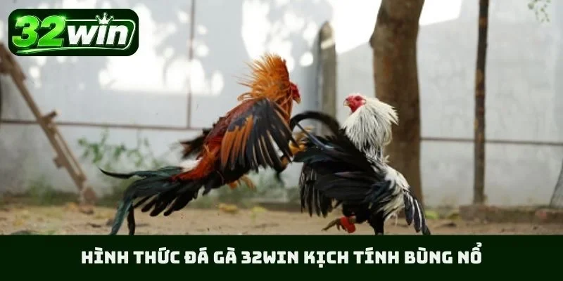 Hình thức đá gà 32WIN kịch tính bùng nổ
