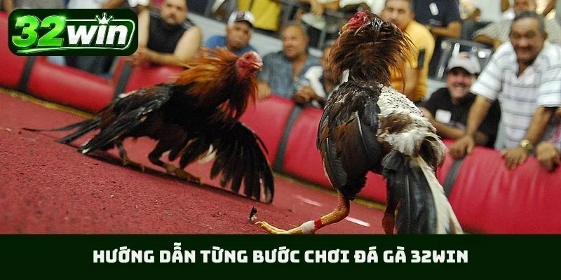 Hướng dẫn từng bước chơi đá gà 32WIN