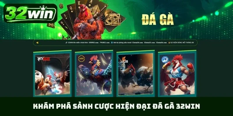 Khám phá sảnh cược hiện đại đá gà 32WIN